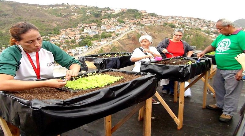 IVIC_oficial's tweet photo. #CienciaEsEducación || El Dato Aliado: En los últimos 2 años el 57% de los participantes en las acciones de Formación de la Alianza Científico Campesina son mujeres.

Ya son 18 los estados en los que la Alianza Científico Campesina ha tomado los campos venezolanos. https://t.co/XAjdbXrFYV