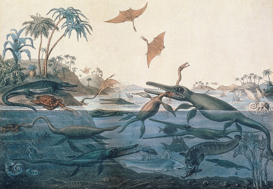artinsociety's tweet photo. This is the first major scientifically-based pictorial representation of prehistoric life. Based on fossils found by Mary Anning, it depicts prehistoric Dorset, as imagined in watercolour by geologist Henry De la Beche in 1830, At R, later revised lithograph by George Scharf https://t.co/Iq2UJogQox