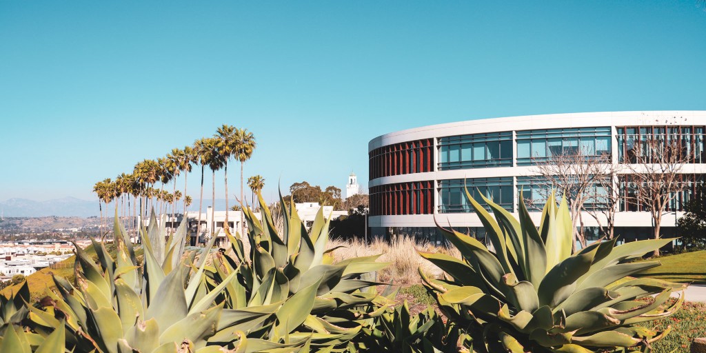 LMUGraduate's tweet photo. We've capped off another outstanding Open House Week! If you were unable to join us earlier this week, you can view a recap of each session at https://t.co/0vxl1lukZF.

#GraduatePrograms #LMUGraduateOpenHouse #JesuitEducated #virtualvisit https://t.co/gPP5W6O6aH