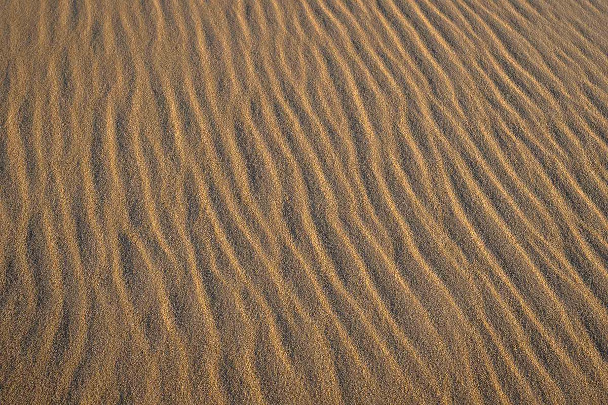 leaclp's tweet photo. 📷 1 Thème 1 Tweet 
6. Grain

#31themesAnalogChallenge (sans le Analog...) https://t.co/3mpaLJuUj8