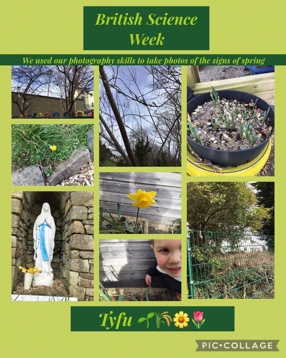 We have enjoyed our ‘Awe and Wonder’ topic. As part of #BritishScienceWeek we have continued to explore questions from our ‘Wonder Wall’ specifically, “I wonder what else is in the sky?”