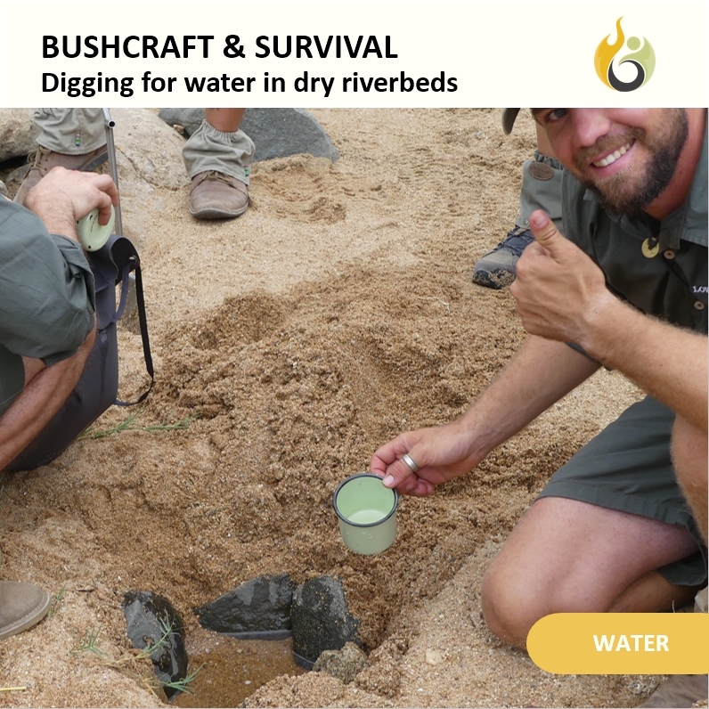 Bushguide101 tweet media