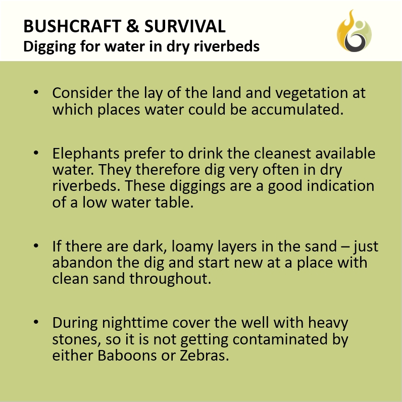 Bushguide101 tweet media