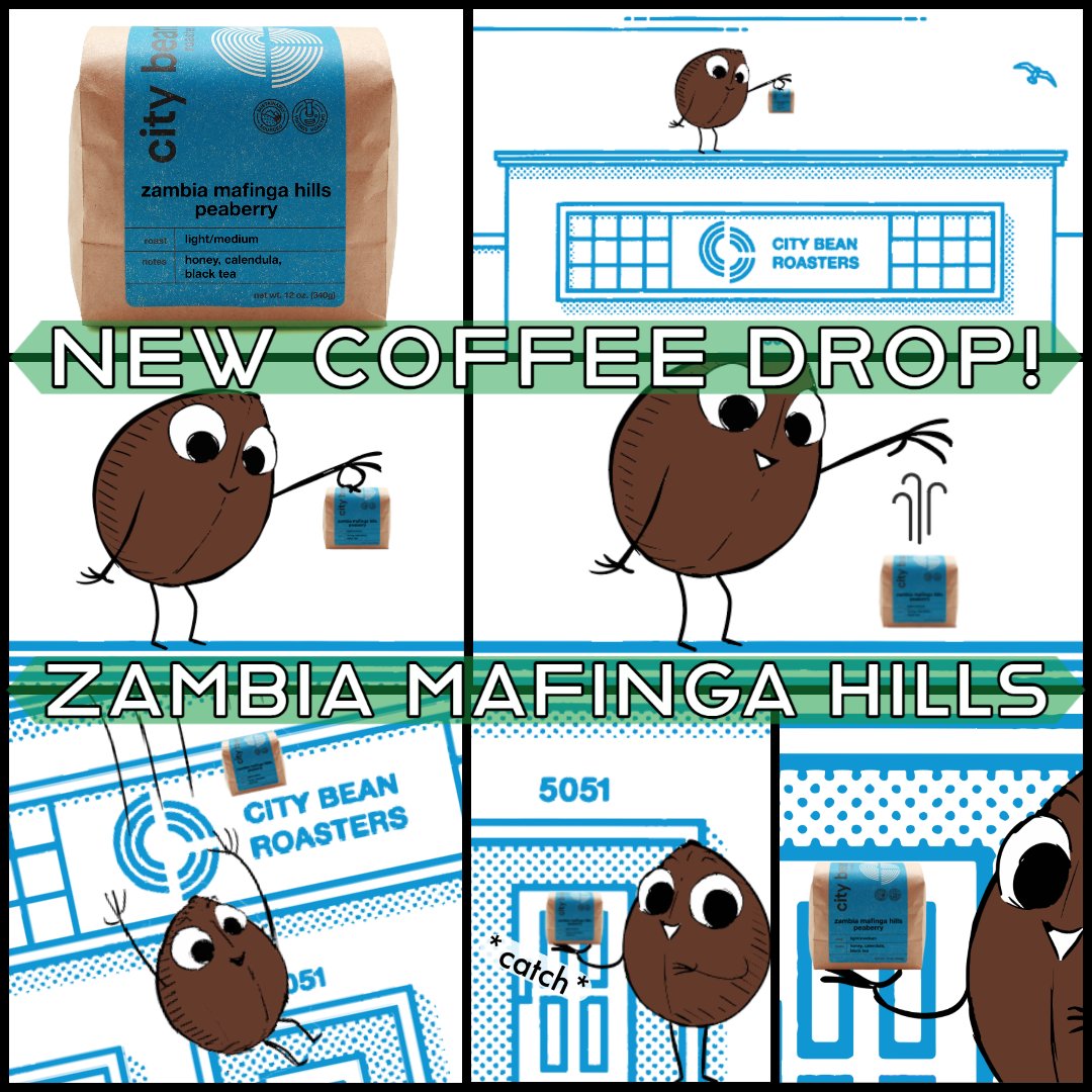 citybean's tweet photo. 🚀NEW COFFEE DROP: ZAMBIA MAFINGA HILLS🚀
A sweet, earthy and complex coffee with notes of honey and black tea - AVAILABLE NOW at https://t.co/WpLkYAsMZD &amp; at The Shop on Jefferson (https://t.co/8h0YlGAPhT) https://t.co/trdmaVAi1c