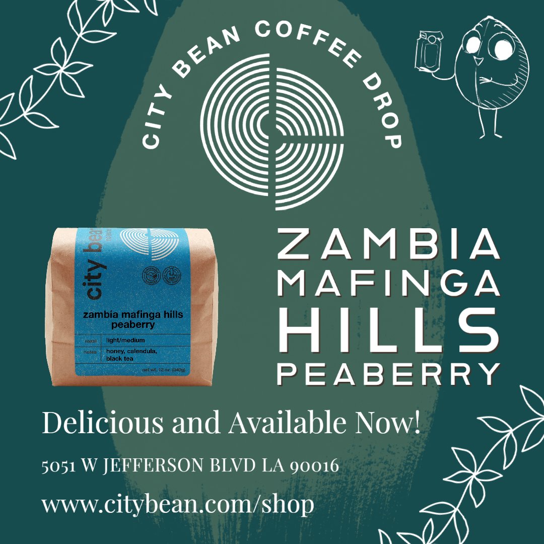 citybean's tweet photo. 🚀NEW COFFEE DROP: ZAMBIA MAFINGA HILLS🚀
A sweet, earthy and complex coffee with notes of honey and black tea - AVAILABLE NOW at https://t.co/WpLkYAsMZD &amp; at The Shop on Jefferson (https://t.co/8h0YlGAPhT) https://t.co/trdmaVAi1c
