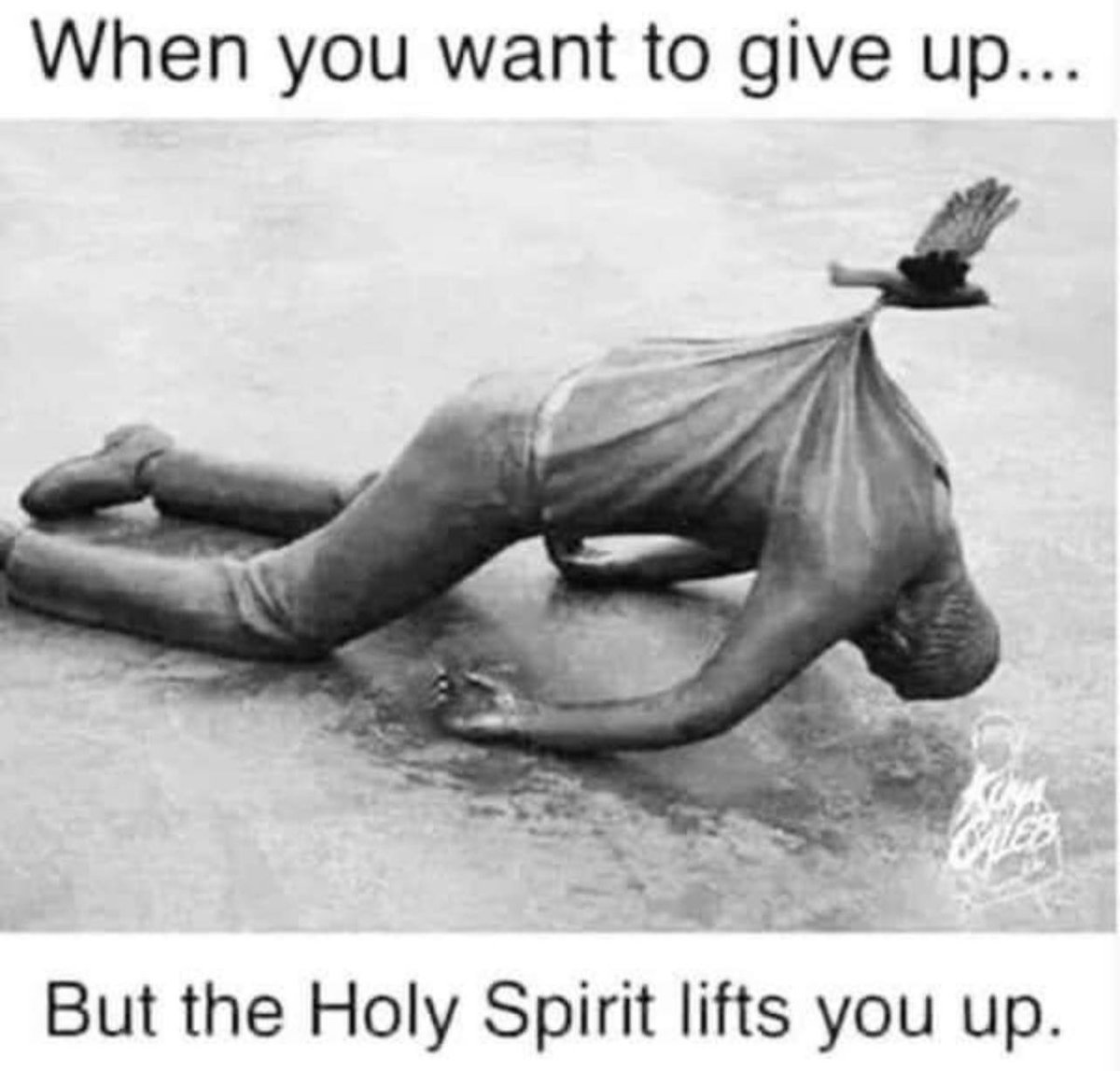 David Walker (@davidwalke57925) on Twitter photo 