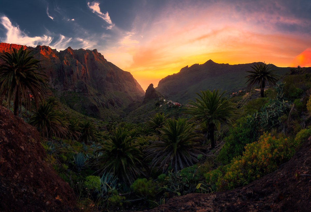 shotbynau's tweet photo. RT si tú también crees que Tenerife es la isla perfecta 🌴 🇮🇨 https://t.co/OtZKqGmme0