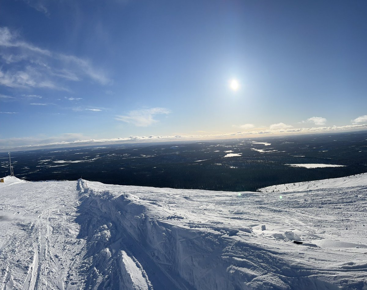 janikiri's tweet image. #yllas &amp;lt;3