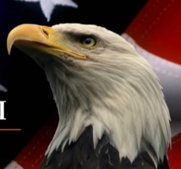 UT_Eagle_Forum's tweet photo. #NewProfilePic https://t.co/l8mKTJR2At