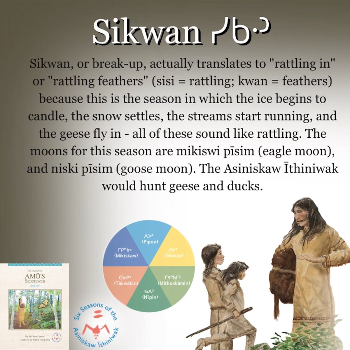 CRYTC1's tweet image. In the Rocky Cree seasonal calendar, each season has two moon cycles of 28 days, and each moon is named to describe the natural conditions observed by Elders in their natural surroundings. Sikwan, or break-up, actually translates to &quot;rattling in&quot;. See more below: ⬇️