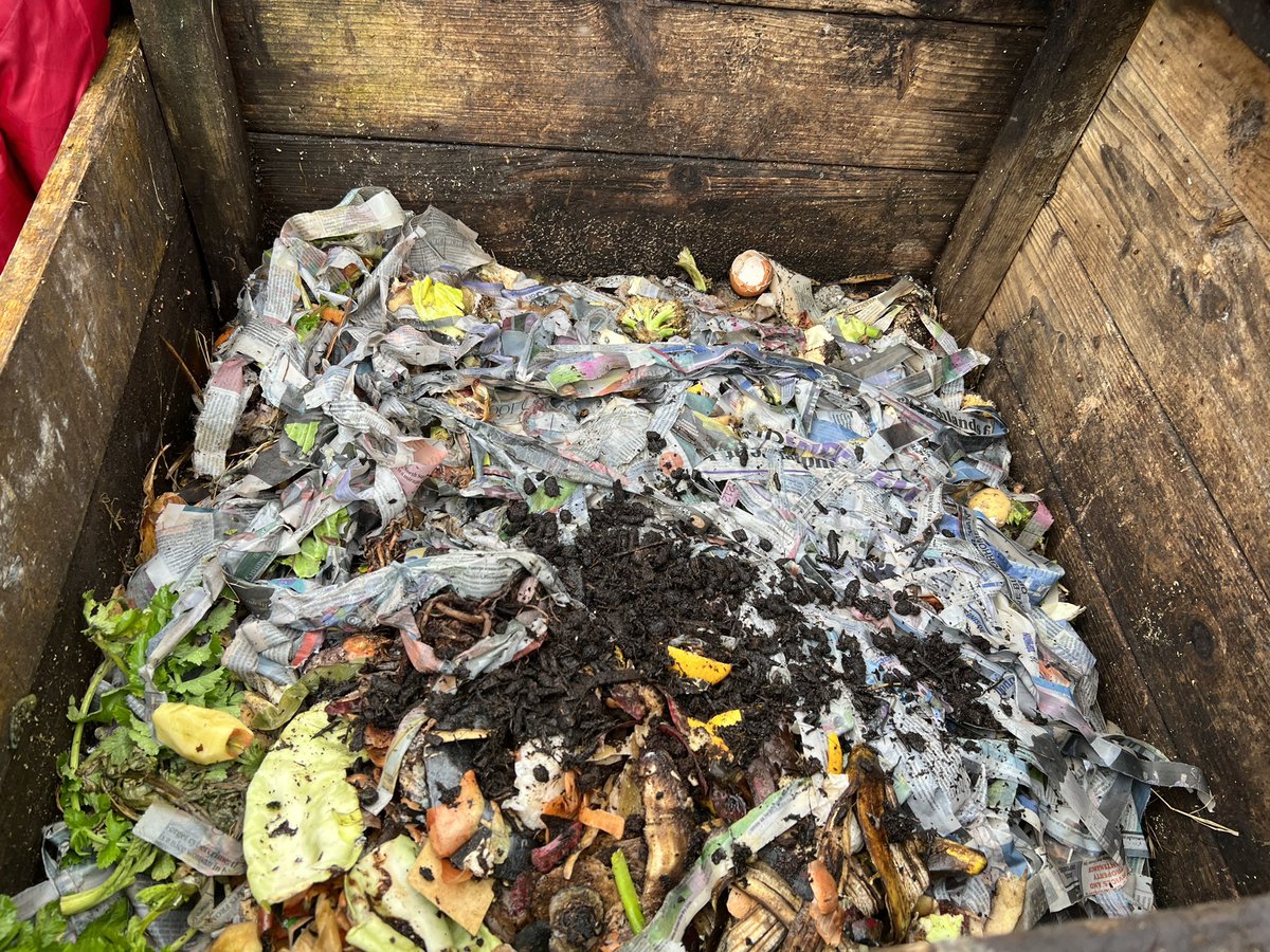 StCharlesGla's tweet photo. In today’s #ForestSchool session P1 were learning about #Compost. We met Nikki and Andrea in the @childrens_wood #CommunityGarden to visit the #CompostBins. We saw lots of flies, bugs and worms and heard how they are necessary to help the process. #Connections @ScienceWeekUK https://t.co/zt4PJOGkCD