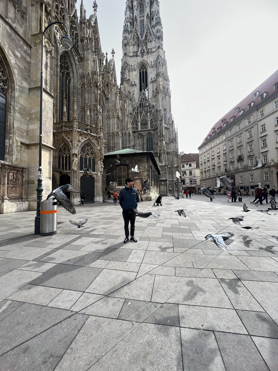 Mathew Alexander tweet media