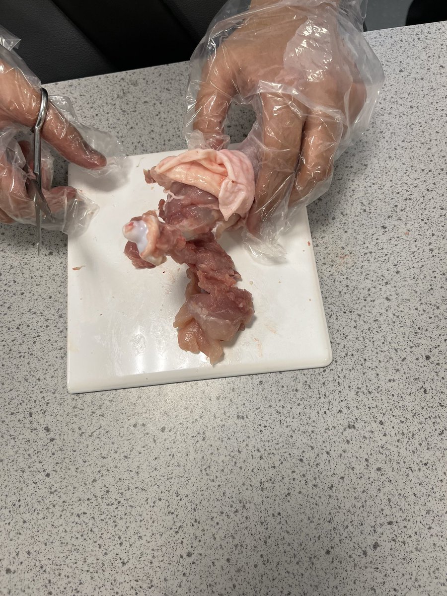 Miss Graham👩🏼‍🔬✨ tweet media