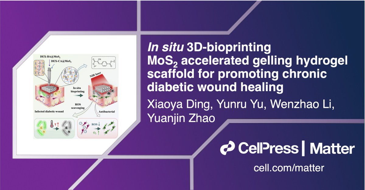 Matter_CP's tweet photo. Yuanjin Zhao & colleagues use a MoS2 hydrogel scaffold for the treatment of chronic #diabetic wounds in #MatterIssue45! #SoutheastUniversity
Read their work: https://t.co/2vE0FWpYlJ https://t.co/pdveVUXFwV