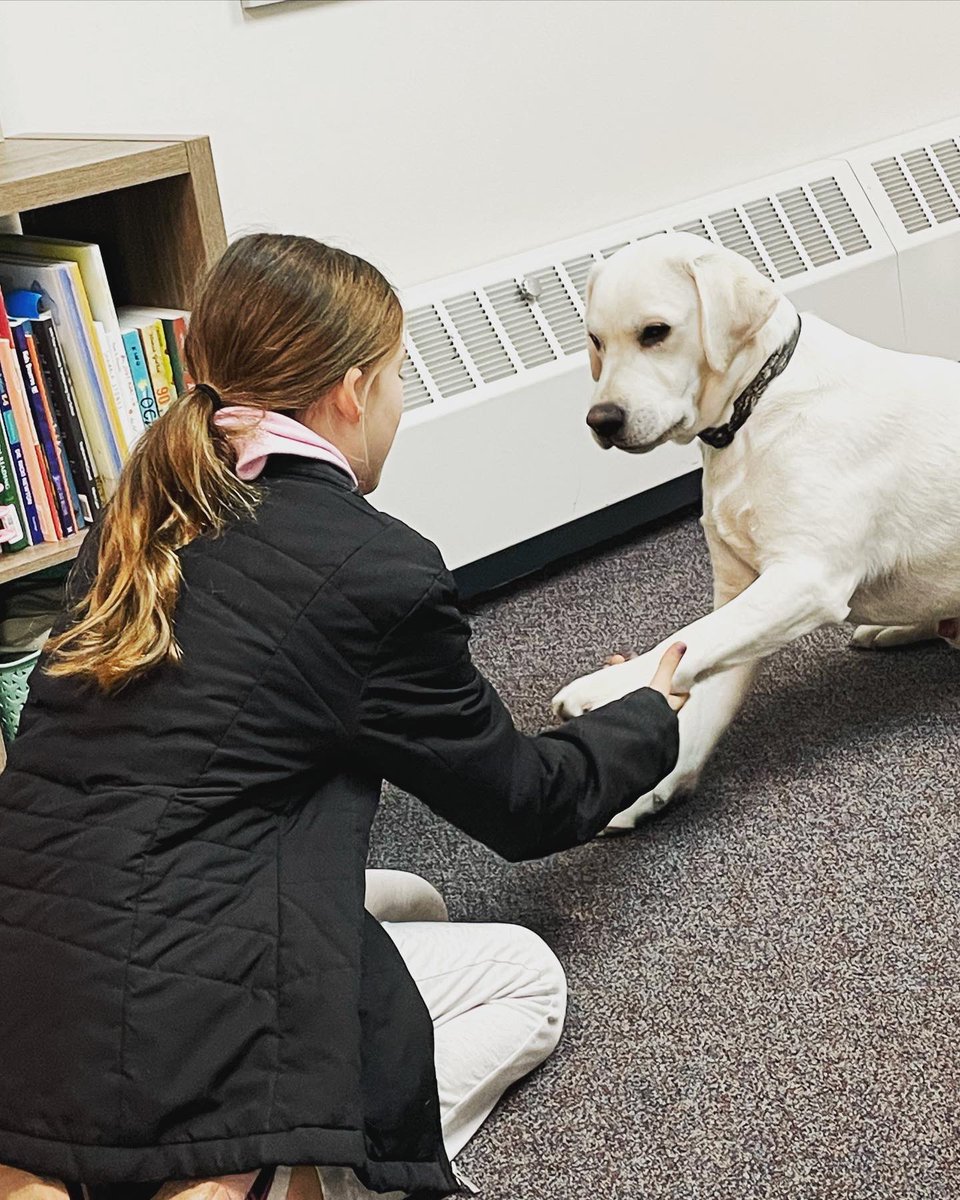 #Koda has loved bringing Joy to students at #MillerMustangsHPS the past few weeks 🐾💙

#LeadLearnHope #LeadLAP #PIAchat #msaachat