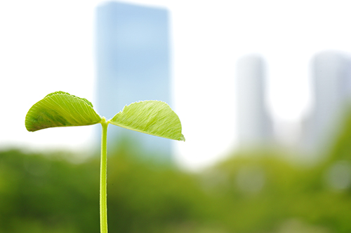 IngramREreport's tweet photo. Important considerations for all parties of a commercial lease, when addressing the allocation of  costs associated with Local Law 97 ("The Green Building Law) compliance. https://t.co/F1aAIuMvUm
#greenbuilding #commercialrealestate #nycrealestate  #landlords #tenants https://t.co/inpotFUmsR