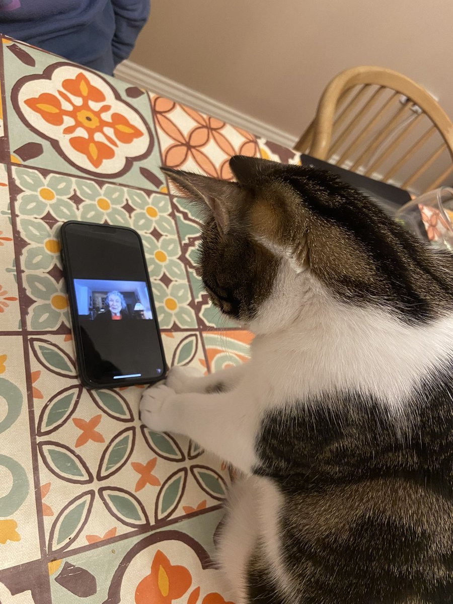 Phoenixclark41's tweet image. Coco entranced by @MargaretAtwood