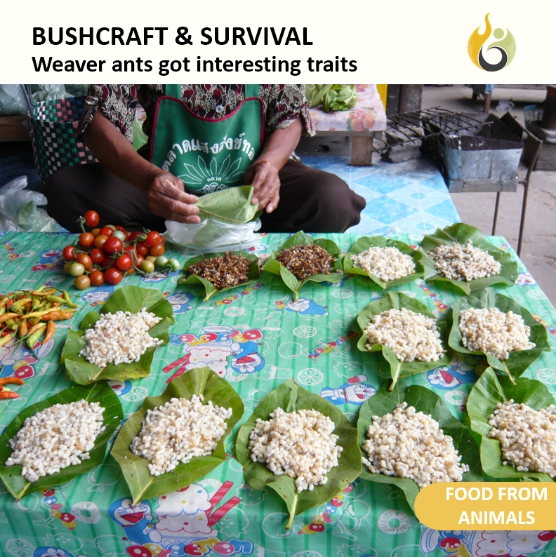 Bushguide101 tweet media