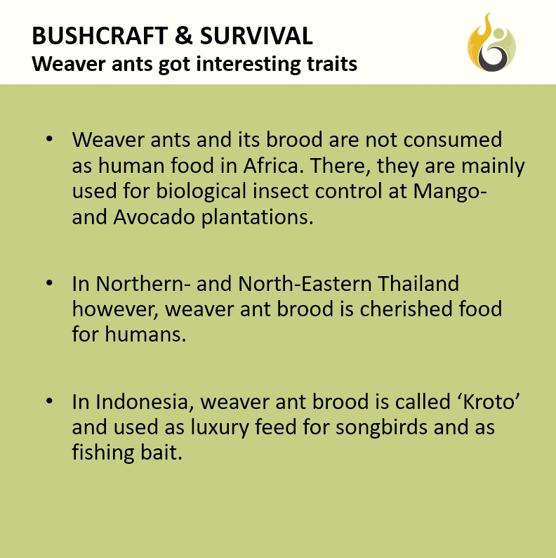 Bushguide101 tweet media