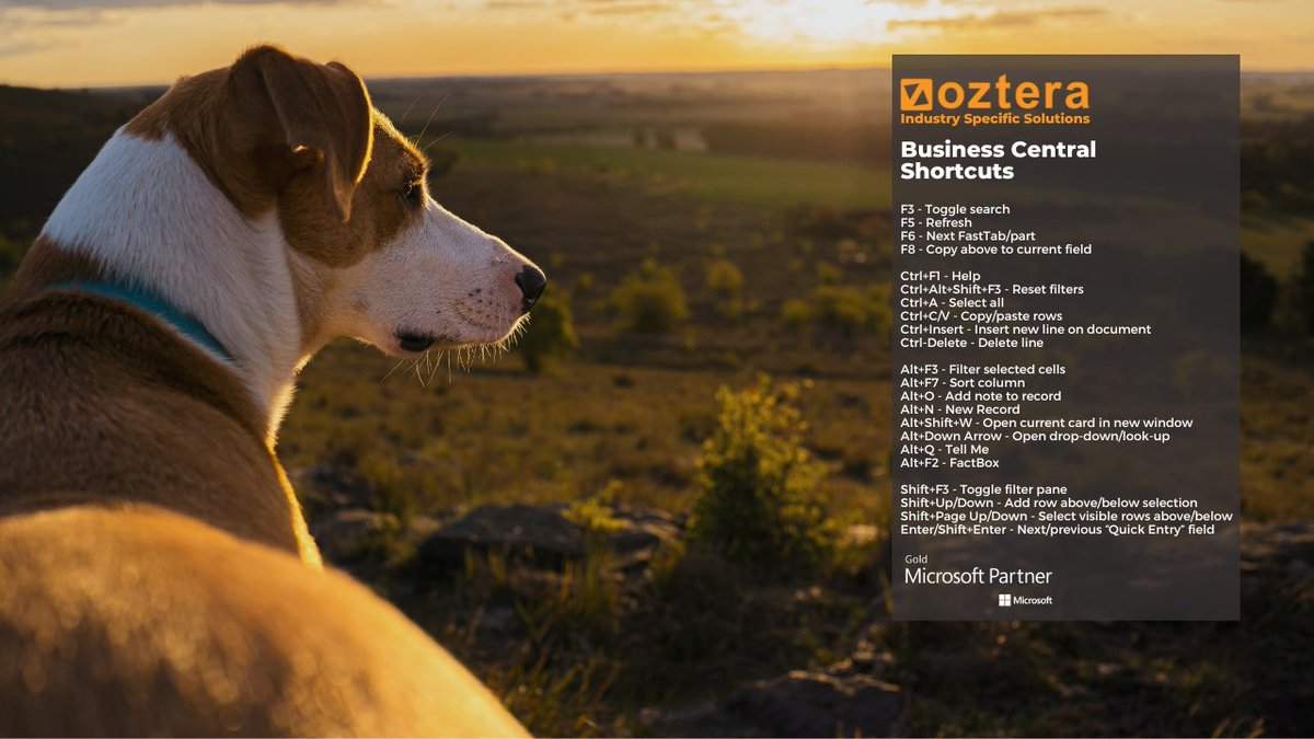 oztera's tweet photo. We have a BC guide for useful shortcuts you can use as your desktop image. Enjoy!

Move to Microsoft Business Central with Oztera.

We focus on the Agricultural, Manufacturing, &amp; Wine Industries.

#oztera #teravina #agtracker #farming #freshproduce #wineindustry #agriculture https://t.co/mUp1IWH7li