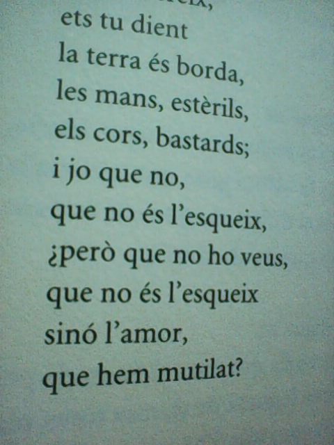 'La llum subterrània', de @xmascraviotto té poemes que són colps de puny, però els sap pegar amb taaanta elegància! I quines ganes de sentir-li'ls dir en veu alta!
#poesiacatalana