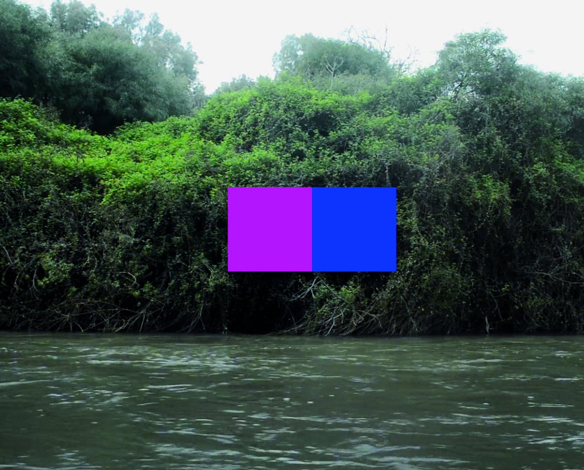 <a href="/beatrizcastela/">Beatriz Castela</a> , «(Des)velaciones»
#Suroeste11

El trabajo de la artista extremeña cuestiona nuestra compresión de la realidad y las relaciones entre obra y espectador, explorando lo intangible, lo virtual y lo efímero.

No there there (No hay ahí), 2017

ortegamunoz.com/suroeste/separ…