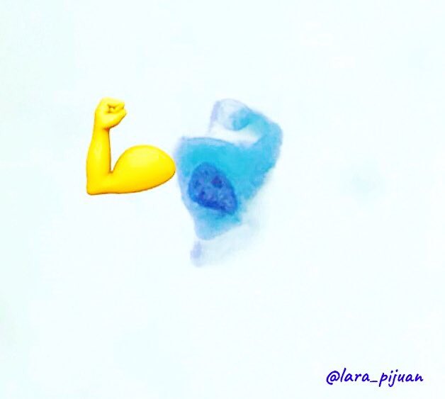 lara_pijuan's tweet photo. Si vols ser un resident fort en totes les especialitats pregunta per @bellvitgepath 💪🏻
Noves tecnologies pel diagnòstic del càncer, formació innovadora amb #patologiadigital, amistat, cursos, congresos i investigació 🔬
#MIRHUB23 @hbellvitge https://t.co/E6joZhRygu