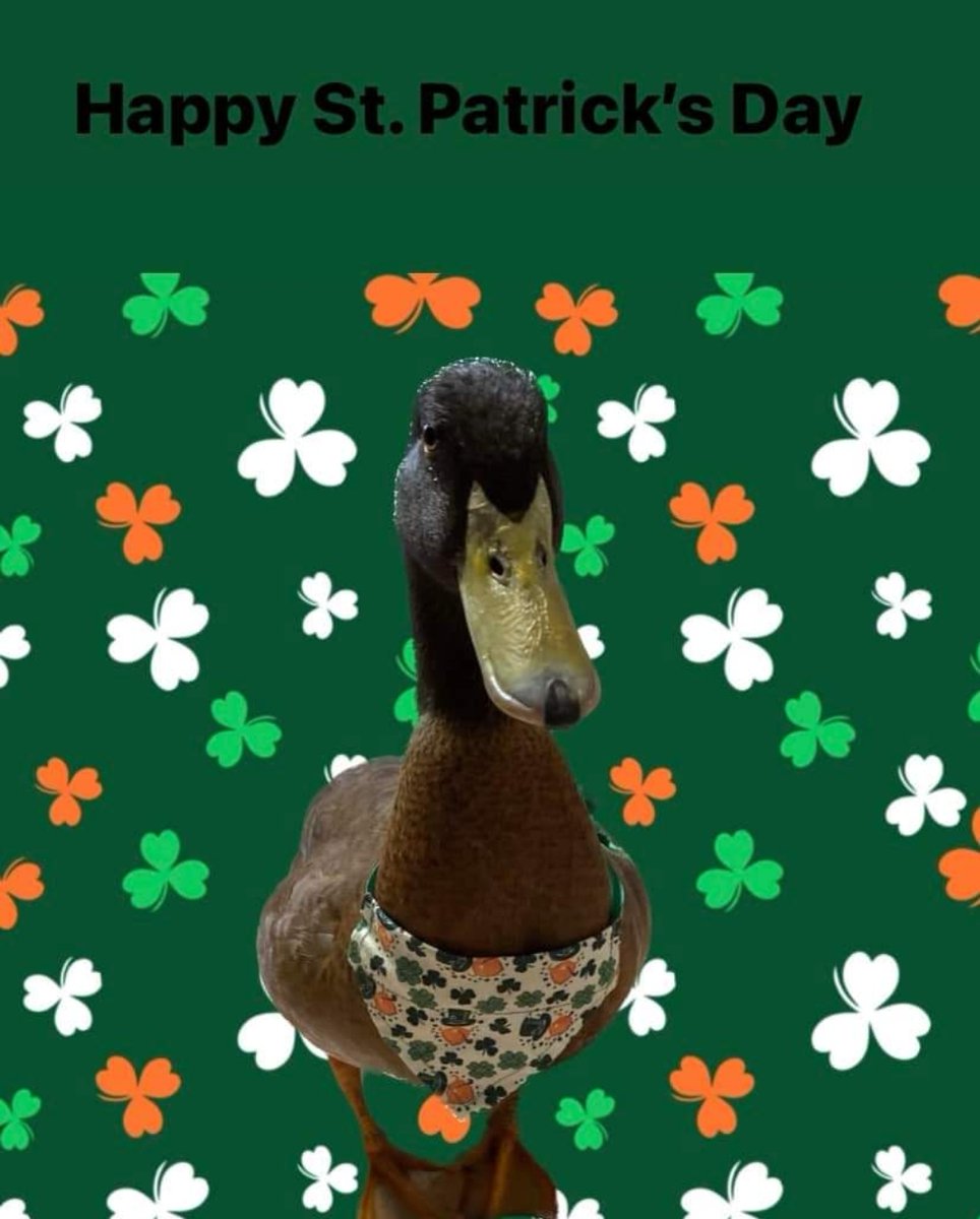 STAR_Fdn's tweet image. 