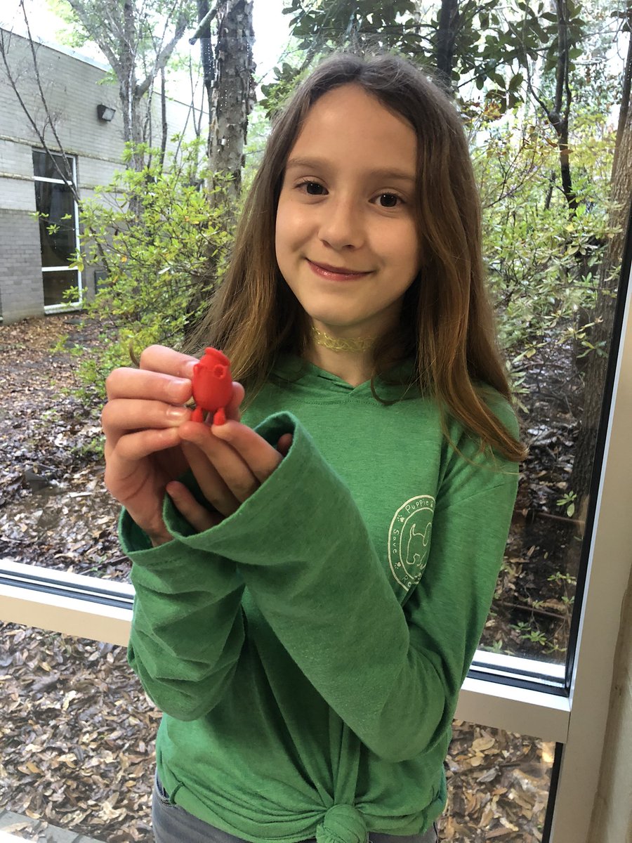 Introducing our classroom pet, Banjo the bearded dragon. Ss had a great time using Tinkercad and our 3D printer. <a href="/MMStcboe/">Munford Middle School</a> #MMSstrong <a href="/TCBOE/">Talladega Co Schools</a> #LeadingtheWay <a href="/OfficialDLDay/">Digital Learning Day</a> #DLDay #FutureReady <a href="/FutureReady/">Future Ready</a> @all4ed