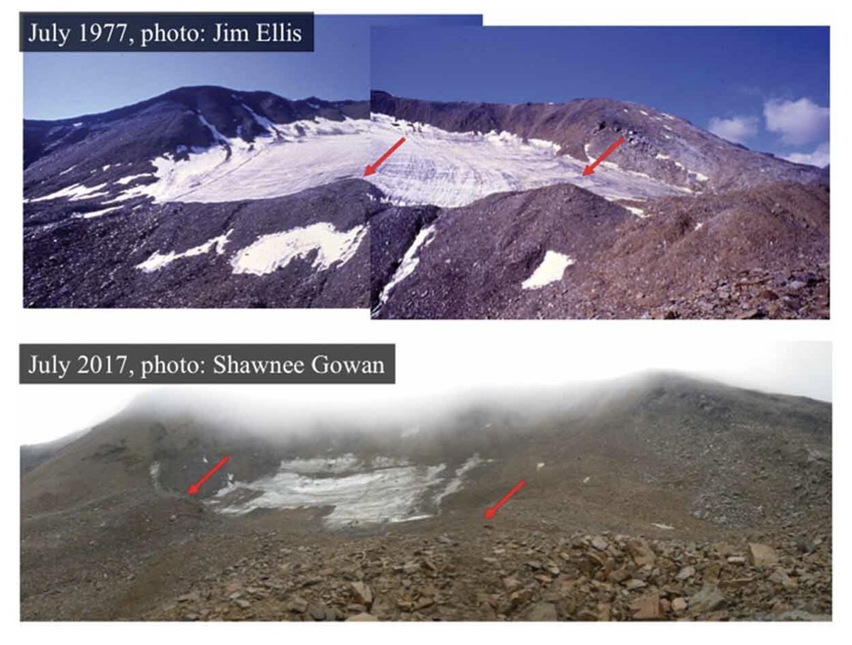 arctic_alpine's tweet photo. Missing link 🧩offered by Kasanke et al. in #primarysuccession 🌱study on #BrooksRange glacial moraines in #Arctic Alaska. #OpenAccess https://t.co/wxQh4WlYXf https://t.co/g2NlRhHl1T