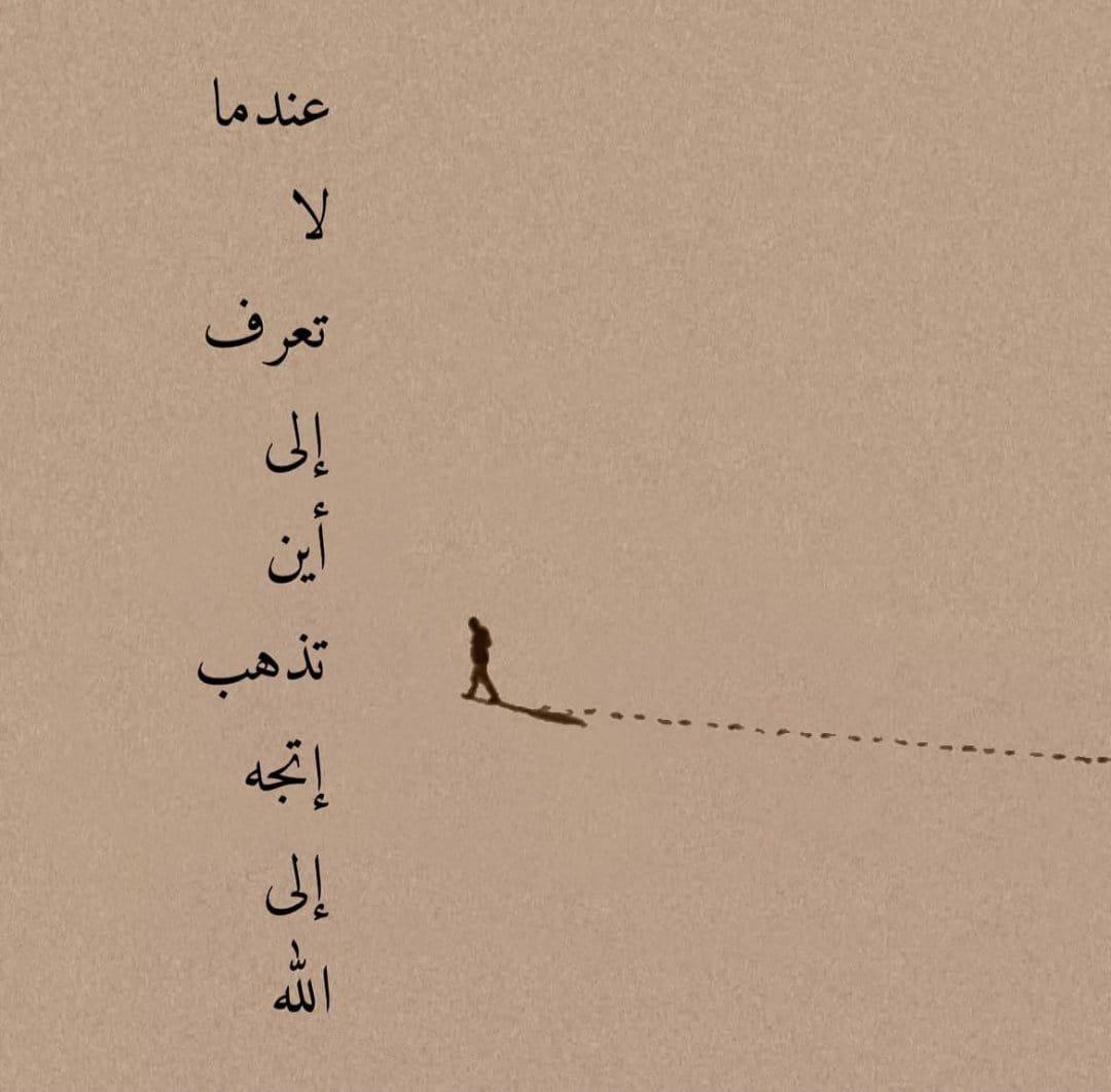 يسرى علي 🇾🇪 tweet media