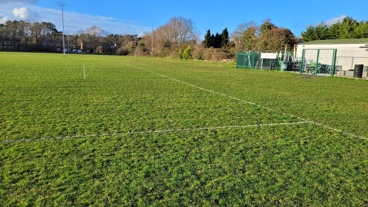 Mortimer FC 💛🖤 tweet media