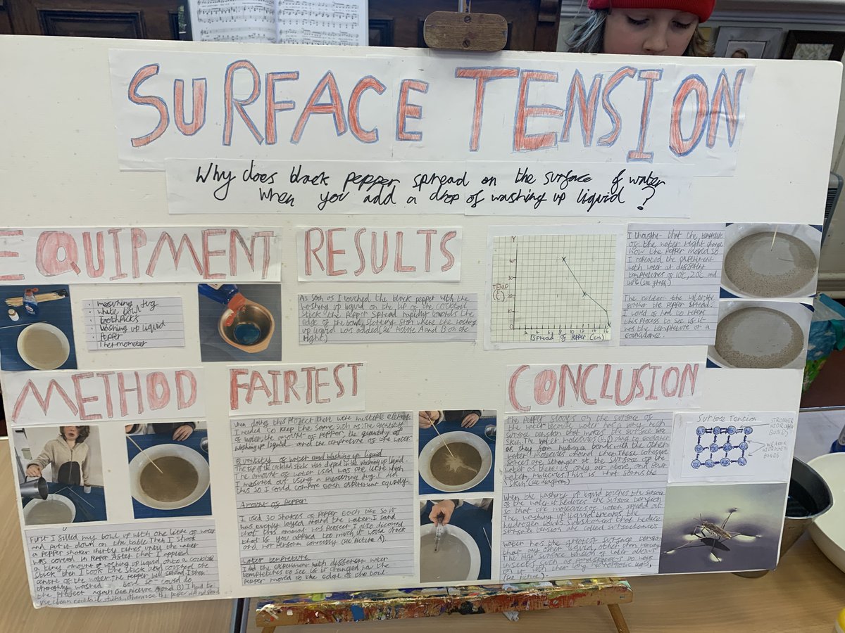 SnapeSchool's tweet photo. Super science presentations at the science fair this morning @MurrayMower @WaveneyValleyAT
 @kineticcenter1 @CamEdFac @STEMLearningUK @EADT24 @UnityTSH @katysandalls @aldevalley https://t.co/WuaRZjUUZK