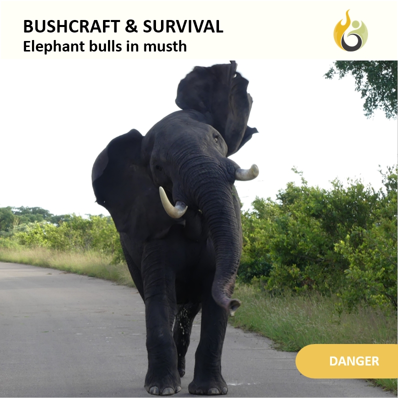 Bushguide101 tweet media