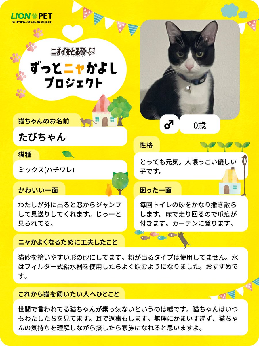 たびちゃん tweet media