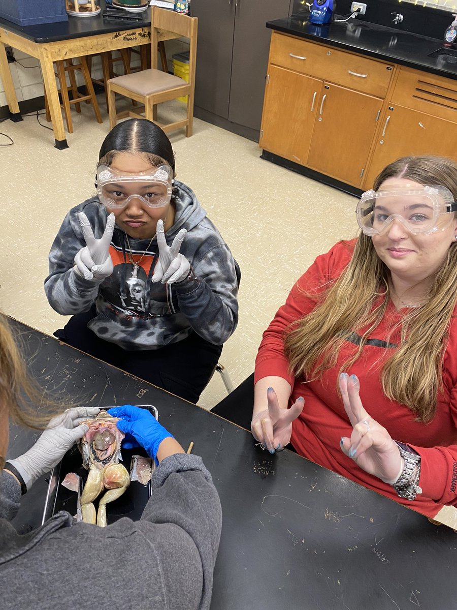 HavelockHigh's tweet photo. Things are froggy this St. Patrick’s Day at HHS! Hands on learning is many things … engaging is at the top of the list! 🐏🖤🤍 #RamsRising https://t.co/kSjmDM1Slr