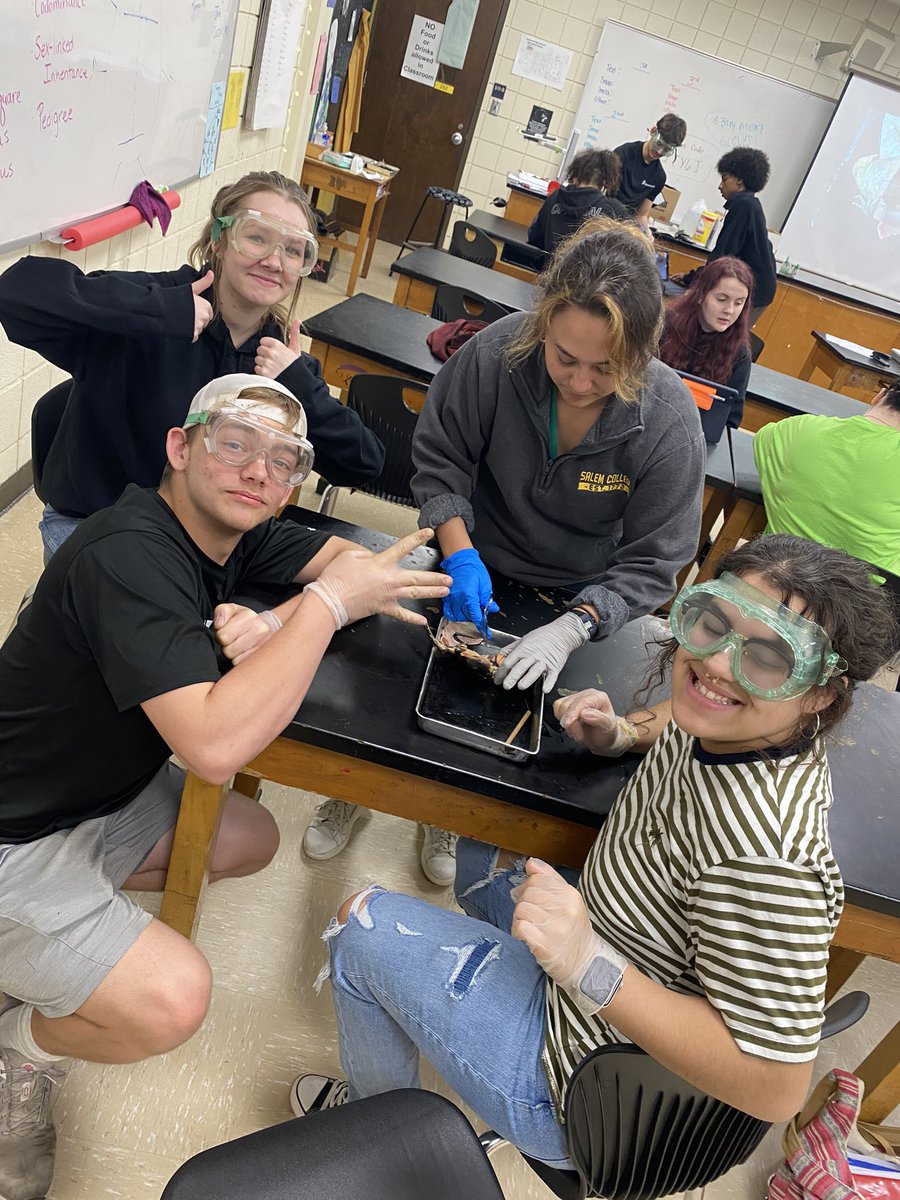 HavelockHigh's tweet photo. Things are froggy this St. Patrick’s Day at HHS! Hands on learning is many things … engaging is at the top of the list! 🐏🖤🤍 #RamsRising https://t.co/kSjmDM1Slr
