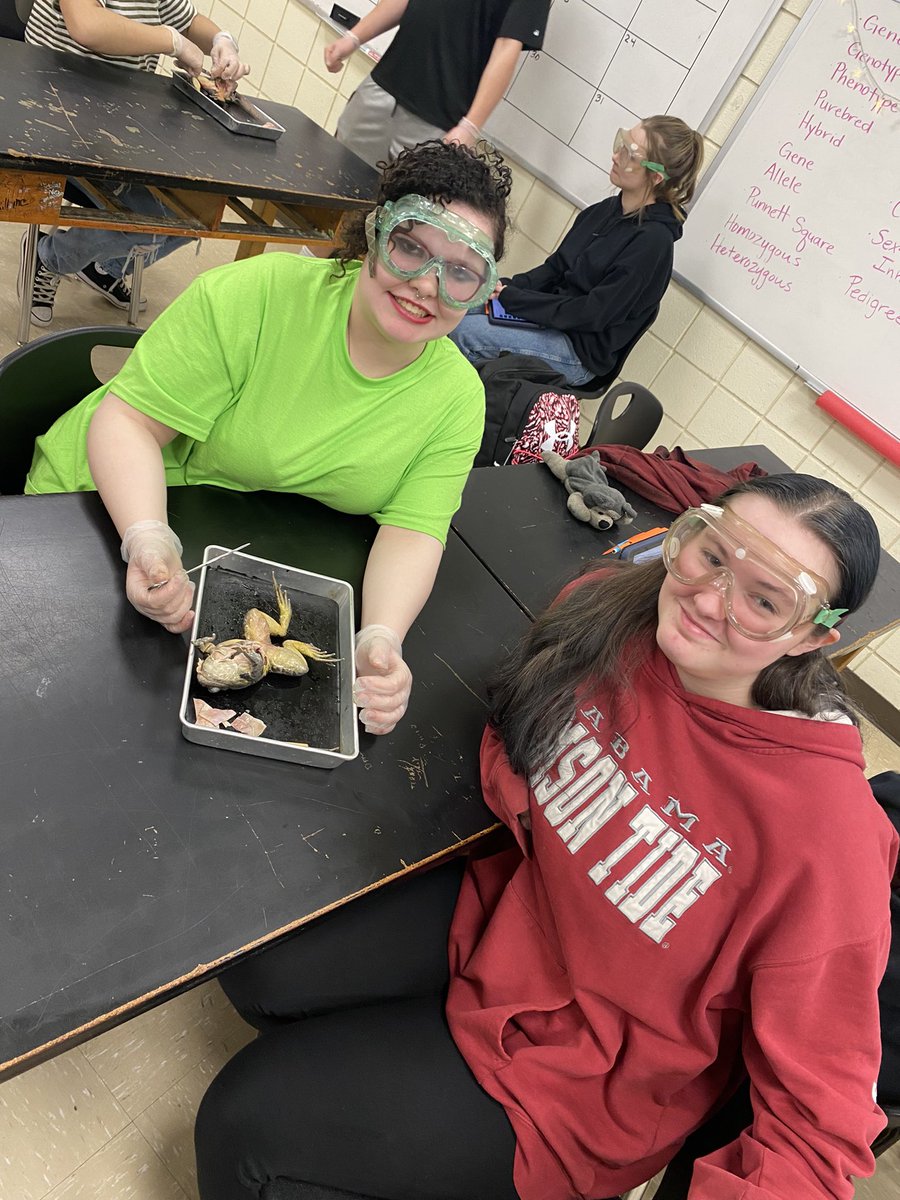 HavelockHigh's tweet photo. Things are froggy this St. Patrick’s Day at HHS! Hands on learning is many things … engaging is at the top of the list! 🐏🖤🤍 #RamsRising https://t.co/kSjmDM1Slr
