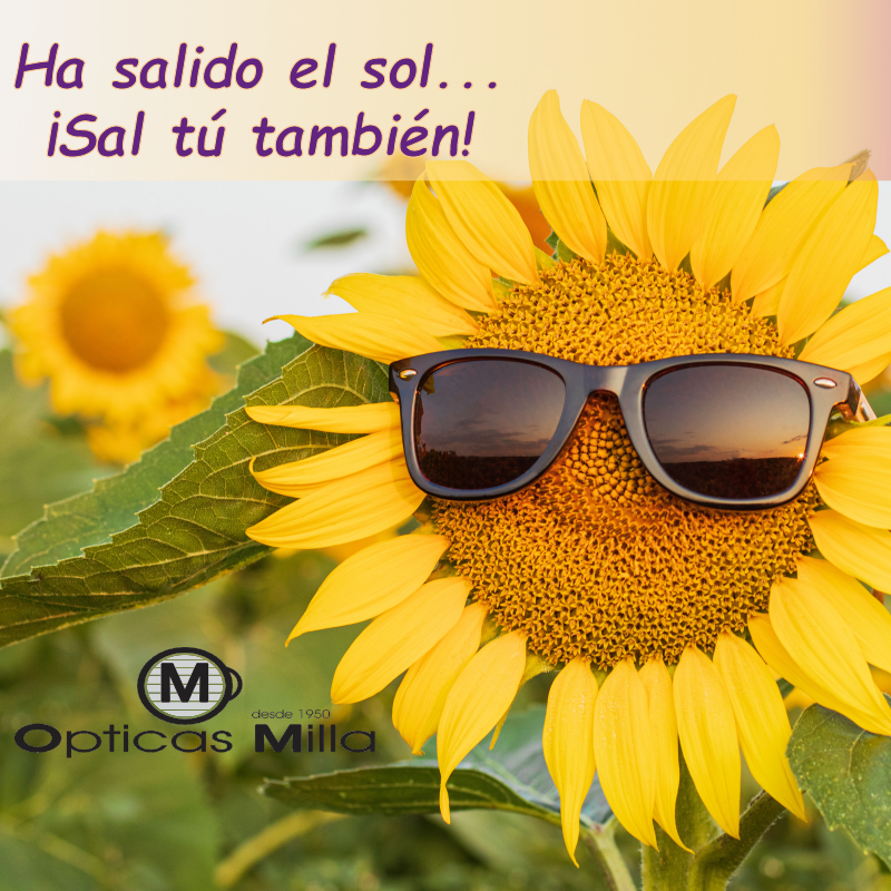 Óptica Milla (@OpticaMilla) / Posts / X