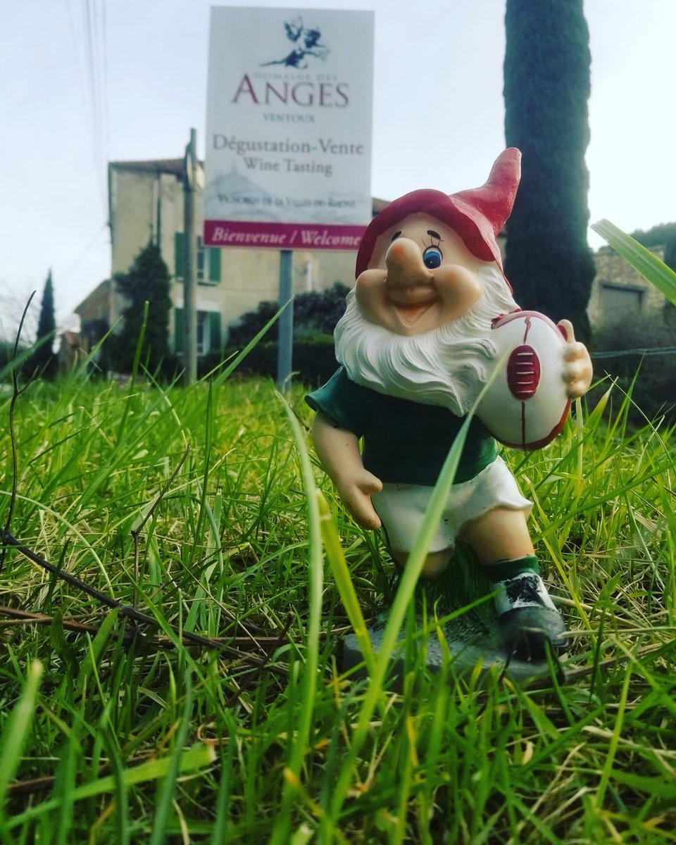 Happy St Patrick's Day and.....Allez les verts !!!

#StPatricksDay2023 #domainedesanges