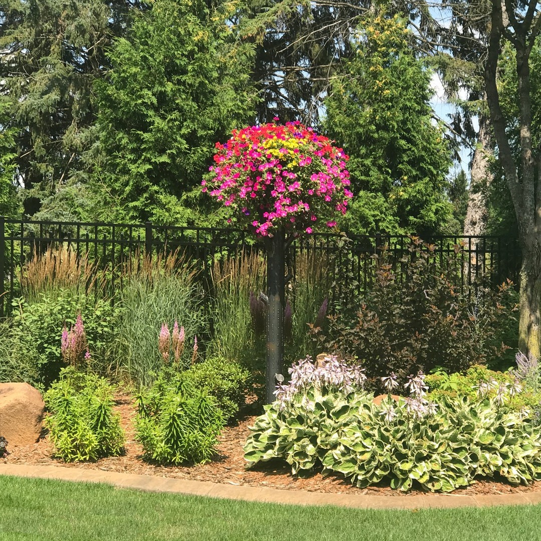 FioreTrees's tweet image. Fiore Trees are an excellent way to accentuate a garden. The tree stands above all else and showcases a burst of color from your choice of flowers you plan in the baskets. Try new flowers year after year until you lock in a favorite! #fioretrees #gardening #gardens