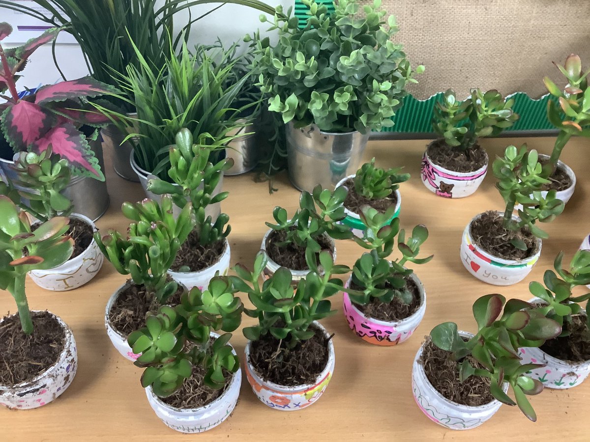 The children painted recycled ramekin jars to make beautiful plant pots for Mother’s Day. I think you’ll agree they look fabulous! @GuPuds @gudesserts #MothersDay #StChPHSE #StChArt 🌸