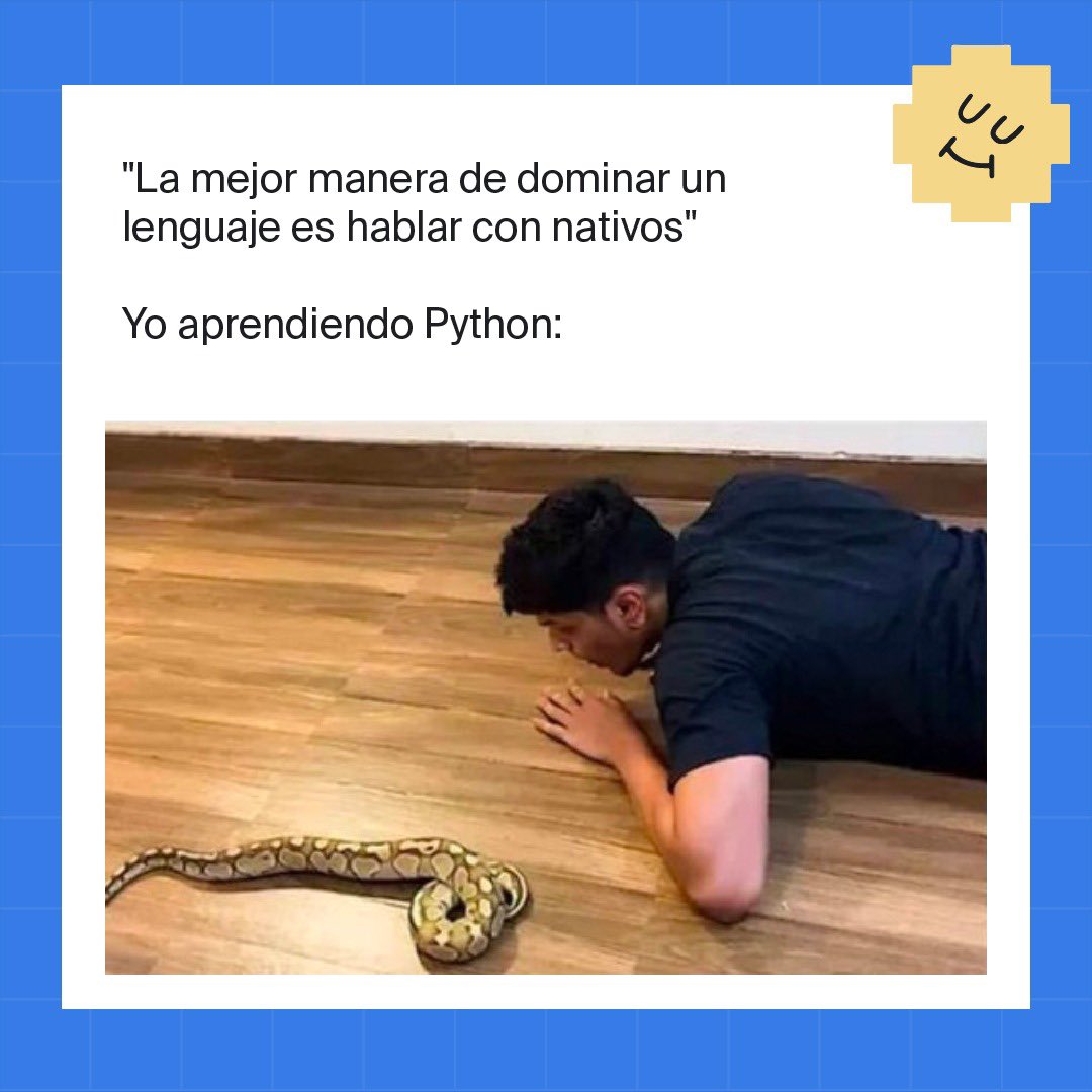 tripleten_latam's tweet image. ¡Me estoy esforzando mucho!😅…..😂😂😂
.
.
.
.
.
#PracticumLatam #PracticumVibes #meme #memes #memesespañol #pythonmemes #programmerhumor