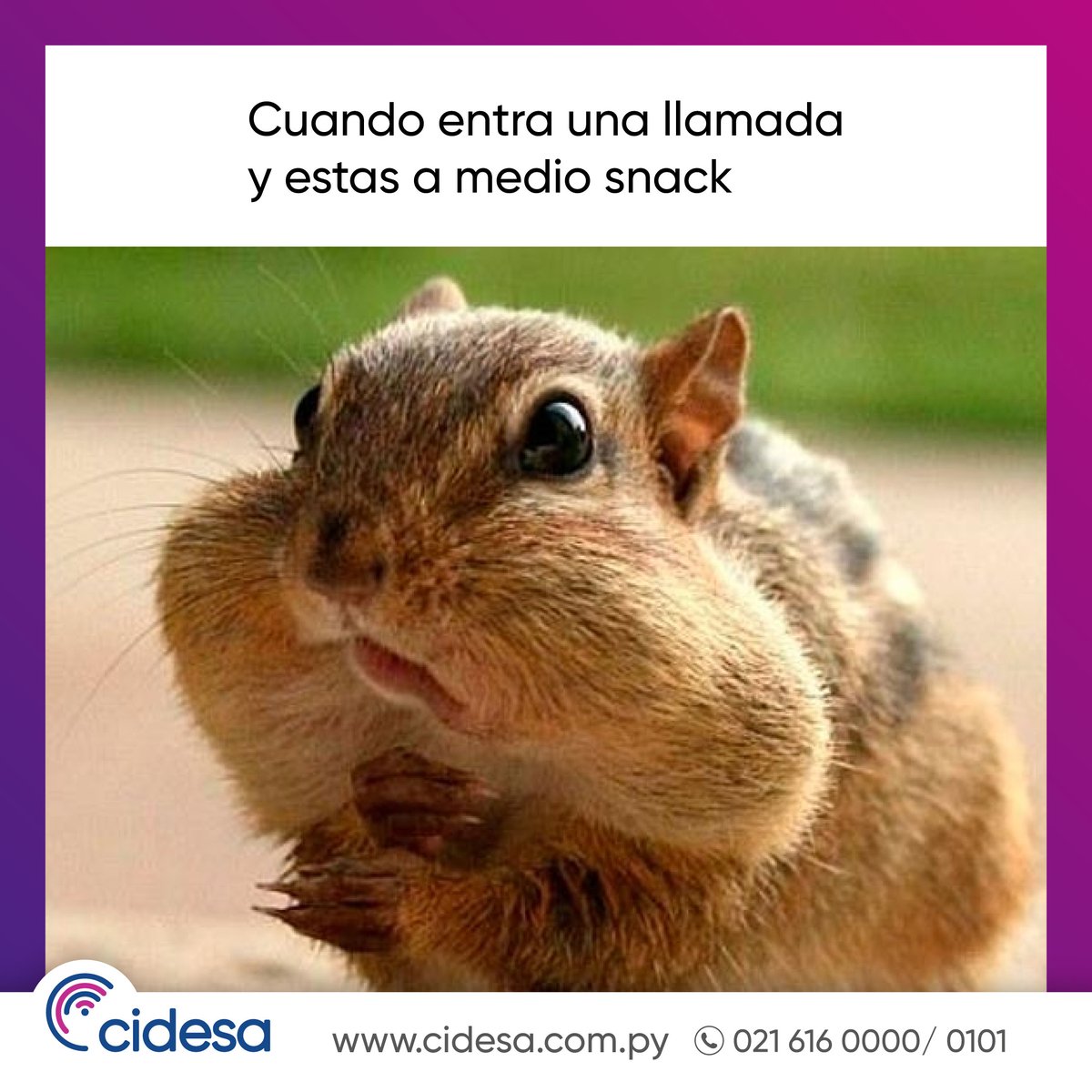 Qué haces cuando te pasa esto? 🤣🤣
#callcenter #ATC #AtencionAlCliente