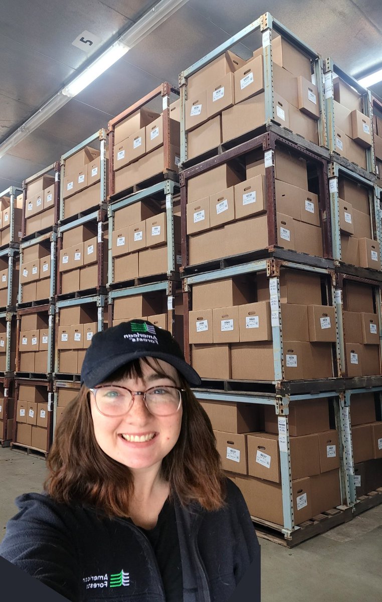 DyerDialogue's tweet image. Check out @AmericanForests #CAConeCorps unloading seedlings  into tree coolers last week w/ @SequoiaForest! Proper storage slows growth &amp;amp; ensures roots stay viable before planting sites are ready. Soon these🌳s will help establish a new forest in #CastleFire &amp;amp; #WindyFire scars!