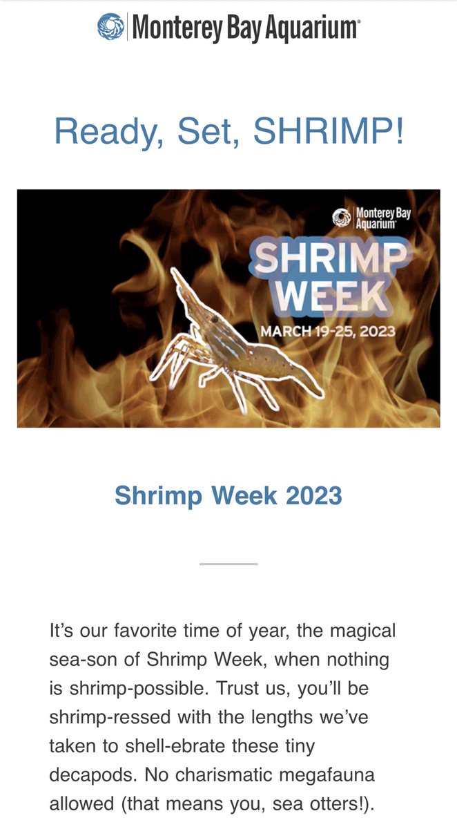 Kate Segrin tweet media