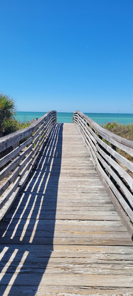 drager_ann's tweet photo. Beautiful Day 🌴☀️ Florida Life 🧡 https://t.co/656mQlcfGV