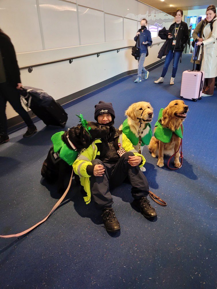 flypdx's tweet photo. #SpottedatPDX: Too cute to pinch! @DoveLewis’ therapy dogs paid a visit to the airport today to bring smiles, relief, and pawsitive vibes to PDX travelers 🍀🐶 #StPatricksDay #FlyPDX https://t.co/XEbgR4MDK2