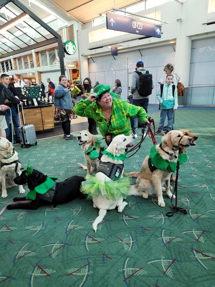 flypdx's tweet photo. #SpottedatPDX: Too cute to pinch! @DoveLewis’ therapy dogs paid a visit to the airport today to bring smiles, relief, and pawsitive vibes to PDX travelers 🍀🐶 #StPatricksDay #FlyPDX https://t.co/XEbgR4MDK2