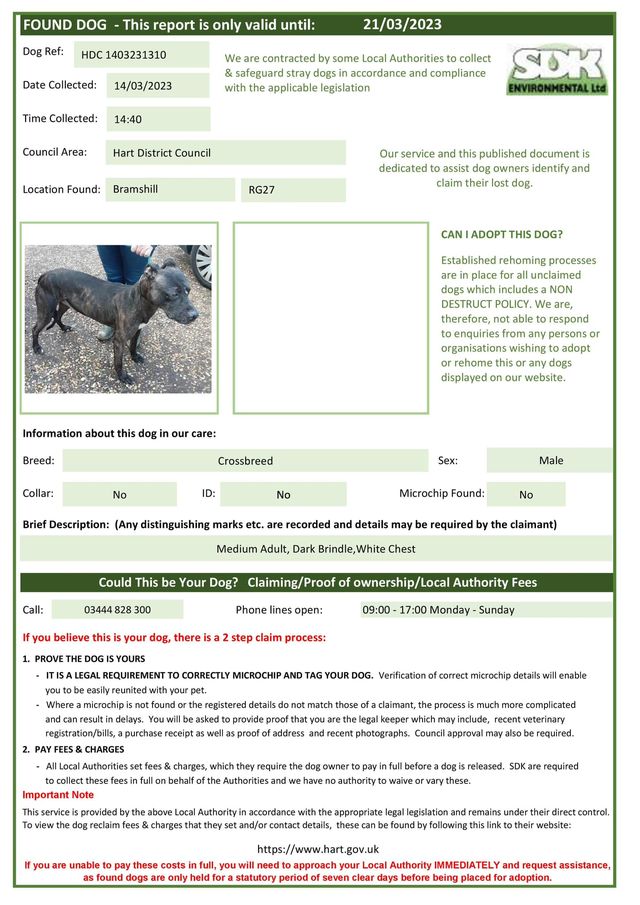 The_Animal_Team's tweet photo. #StrayDog #Found #Bramshill #RG27 area, #Hampshire on 14/3/23. Dark brindle #StaffordshireBullTerrier/Cross with white chest. No chip. Email: ooh@sdkenvironmental.com or☎️03444 828 300. https://t.co/fkDu3oXcEz #FoundDog #dogsoftwitter #Staffie https://t.co/4cbg7Y3K7l